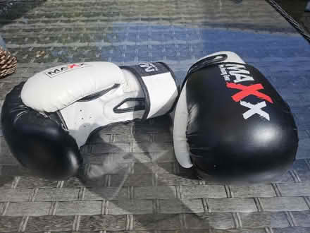 Photo of free Boxing gloves (ME15) #1
