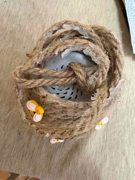 Photo of free Hanging Bee Hive (Korea Town) #1