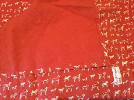 Photo of free Dog bandana x2 (Butternut Box) (Calverton MK11) #1