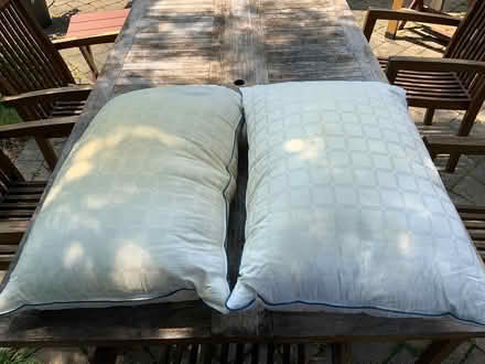 Photo of free Two feather pillows (Hunt Club/Airport Parkway) #1