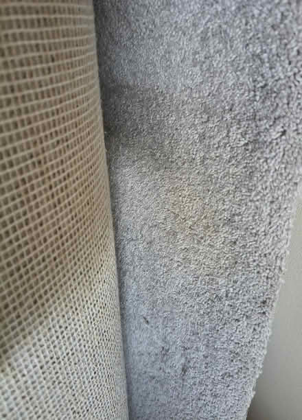 Photo of free Carpet (Sheffield Fulwood S10 4FJ) #1