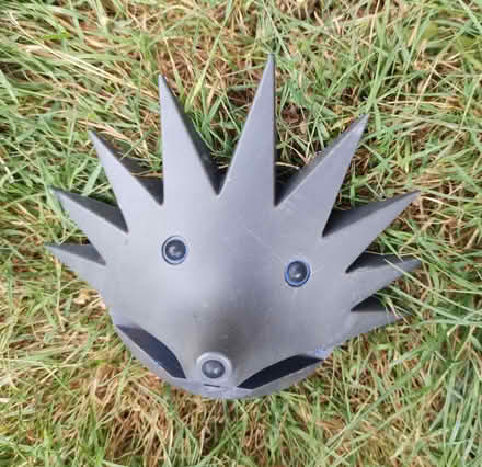 Photo of free Hedgehog shelf holder (Faversham ME13) #1