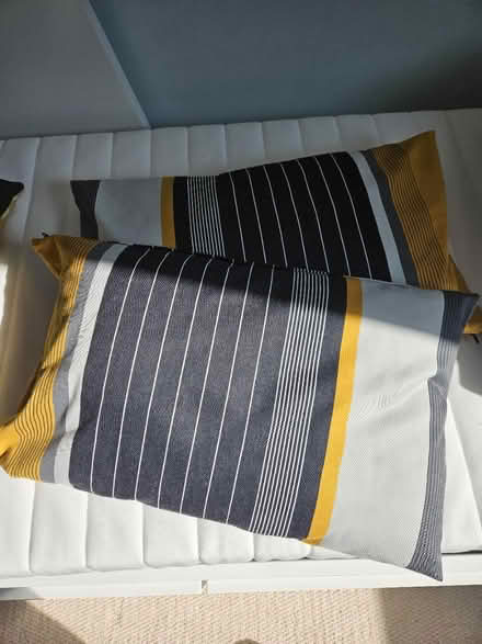 Photo of free Ikea Cushion (Liphook GU30) #1