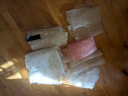 Photo of free Garden bubble wrap (Ascot) #1