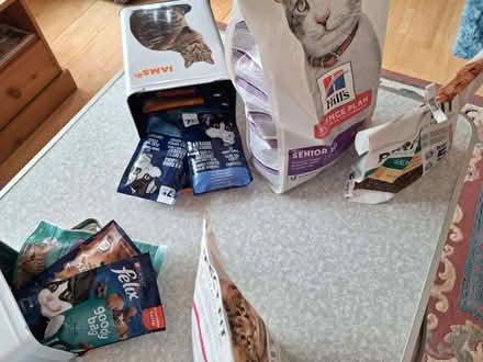 Photo of free Cat Food (Little Blakenham IP8) #4
