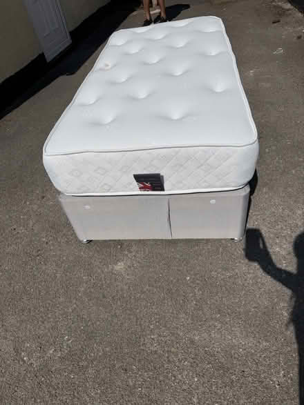 Photo of free Single Bed (Woodlands DN6) #2
