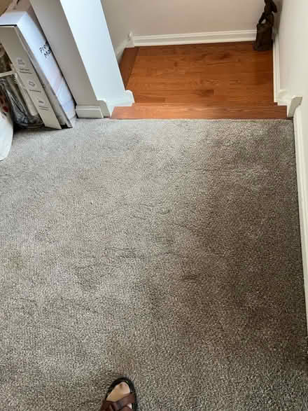 Photo of free Carpet remnants (Doylestown) #3