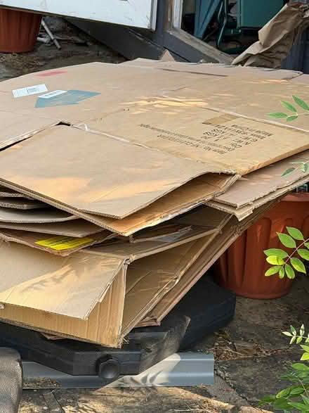 Photo of free Boxes (Heath and Reach LU7) #1