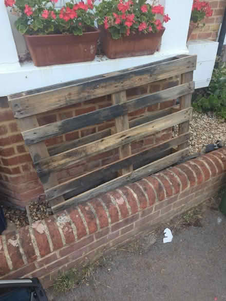 Photo of free Pallet (OX4 Boulter Street) #1