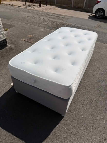 Photo of free Single Bed (Woodlands DN6) #4