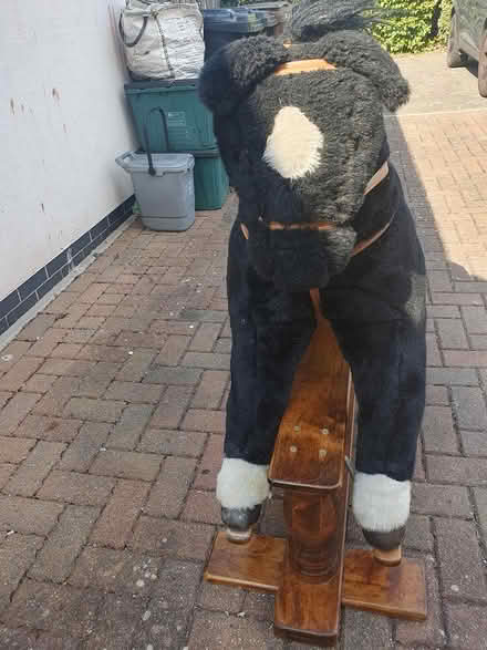 Photo of free Rocking horse (Tq31br) #1
