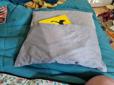 Photo of free Grey book cushion. Cover needs a wash (Alperton HA0) #1