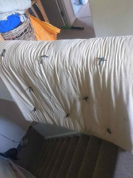 Photo of free Double futon mattress (Hollingdean BN1) #1