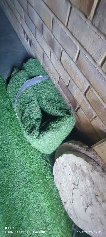 Photo of free Astro Turf Offcuts (Wimbledon SW19) #4