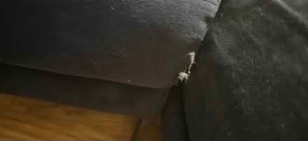 Photo of free Navy Made velvet sofa (Petts Wood, BR5) #2