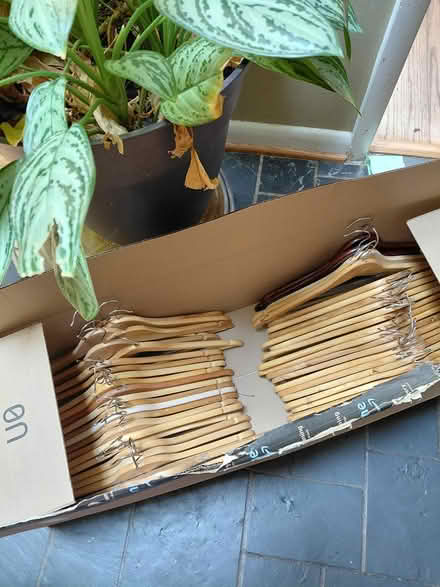 Photo of free 46 wooden hangers (Heidelburg Rd, Lanham) #1