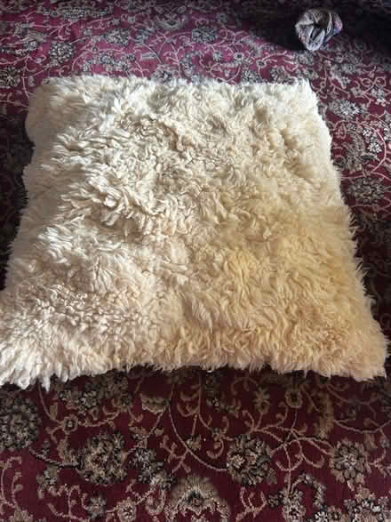 Photo of free Woolly sheepskin cushion (Malvern Link WR14) #1