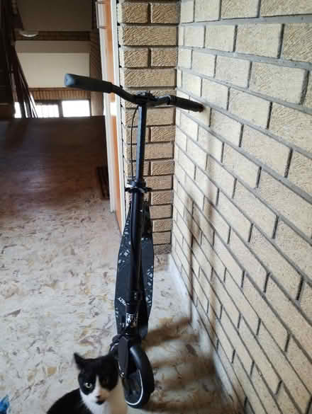 Photo of free Frenzy adult scooter (Bonnington road, EH6) #1