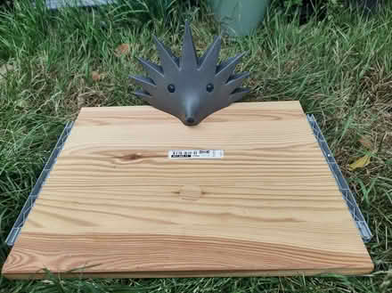 Photo of free Hedgehog shelf holder (Faversham ME13) #4