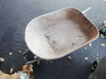 Photo of free Medium duty wheelbarrow (near Occidental X Furlong) #1