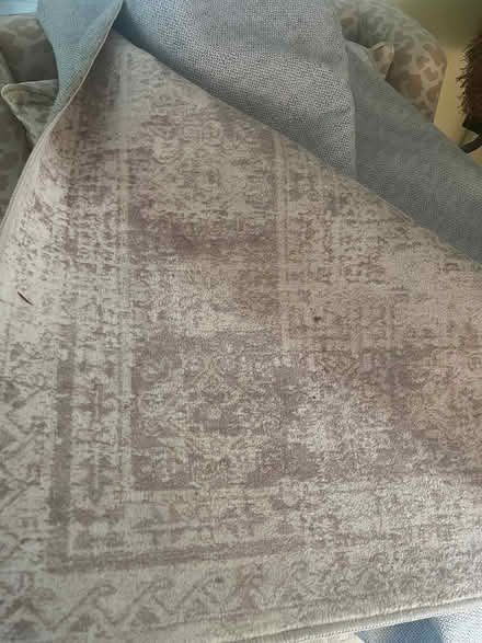 Photo of free 8x10 (ish) rug (Chevy Chase DC) #1