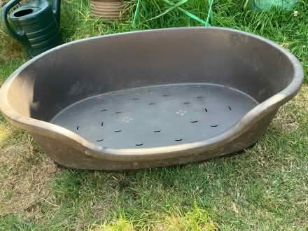 Photo of free Plastic Medium Dog Bed (Harvey Close BS22) #3