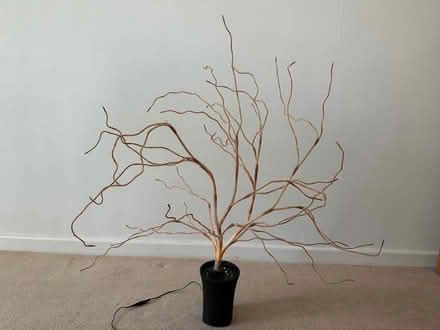 Photo of free Fibre optic decorative ‘tree’ (Trowell NG9) #1