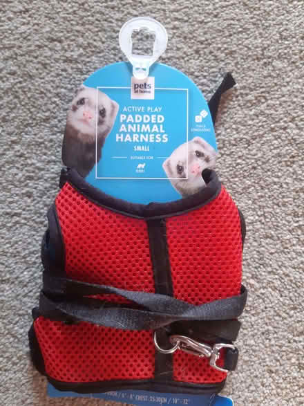 Photo of free Small Animal Padded Harness (Osney OX2) #1