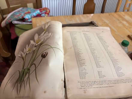Photo of free Dictionary of Gardening (Ball Hill CV2) #3