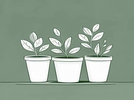 Photo of free More plant pots (10) (Penzance TR18) #1