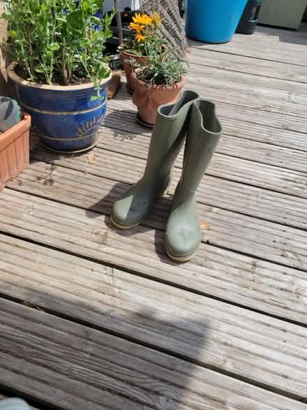 Photo of free Traditional green wellington boots (BN43 5NS) #1