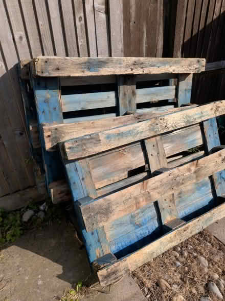 Photo of free Three blue pallets (Little ridge, St Leonards TN37) #1