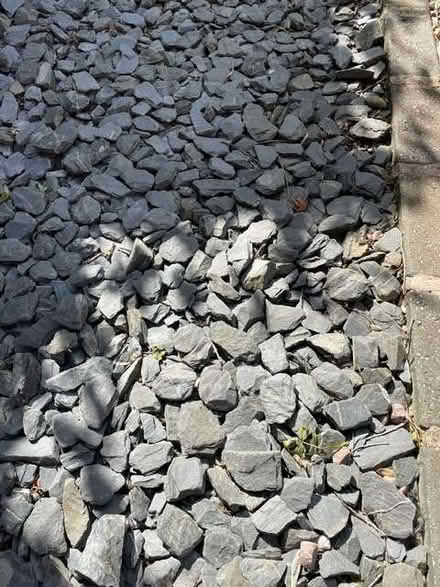 Photo of free Decorative Slate for garden (Stanley Green SY13) #2