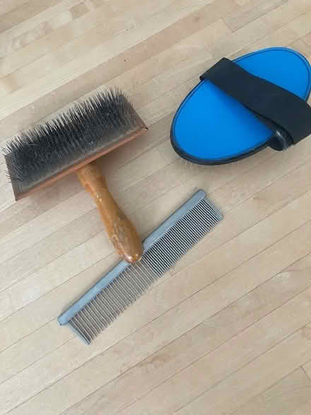 Photo of free Animal brush comb and wire brush (TW1 East Twickenham) #1