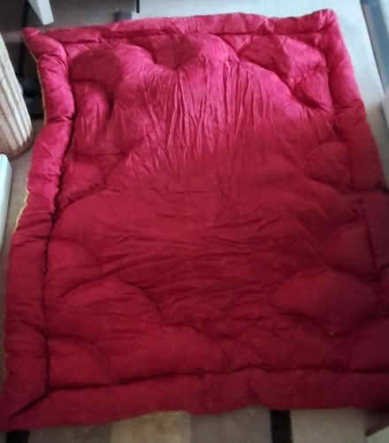 Photo of free Duvet, gold and red (South Acton) #1