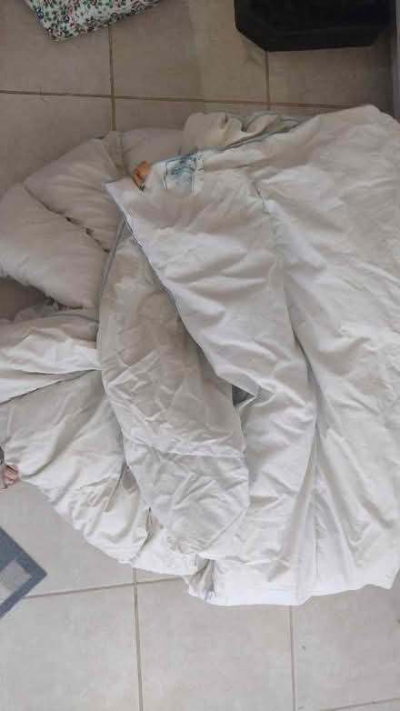 Photo of free Double duvet (Wilstead MK45) #1