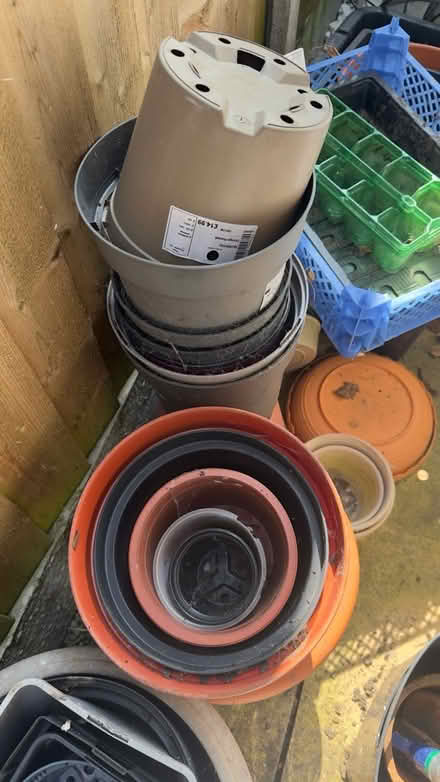 Photo of free Plastic plant pots (HG5 Knaresborogh) #3