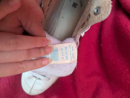 Photo of free Roller skates size 6 (Great Yarmouth NR30) #4