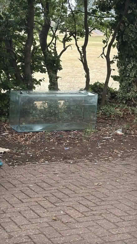 Photo of free fish tank (Berinsfield OX10) #1