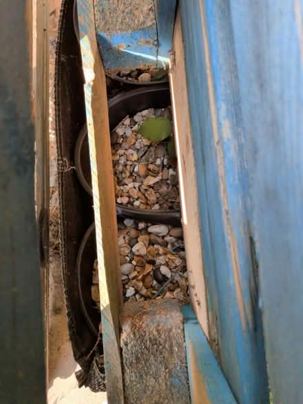 Photo of free Gravel (Little ridge, St Leonards TN37) #1