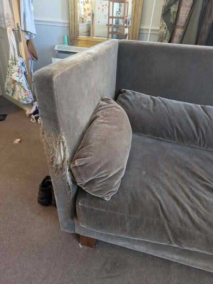Photo of free Velvet sofa (Worthing BN11) #4