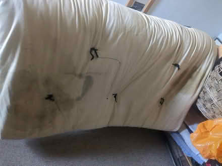 Photo of free Double futon mattress (Hollingdean BN1) #2