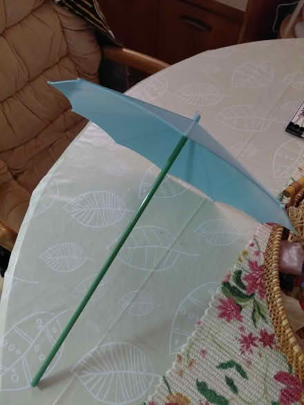 Photo of free Pack of plant umbrellas (Rowner PO13) #1