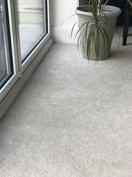 Photo of free 4 large pieces of beige carpet (West Didsbury) #1