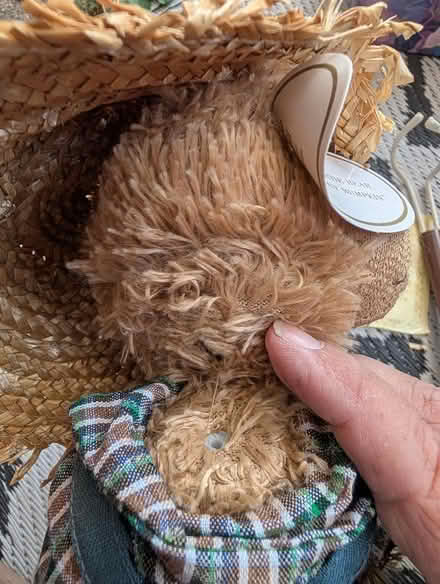 Photo of free Collectors teddy (Great Yarmouth NR30) #2