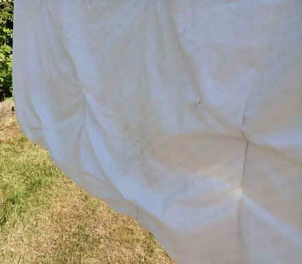 Photo of free Single duvet and bedding (Deepcar S36) #2