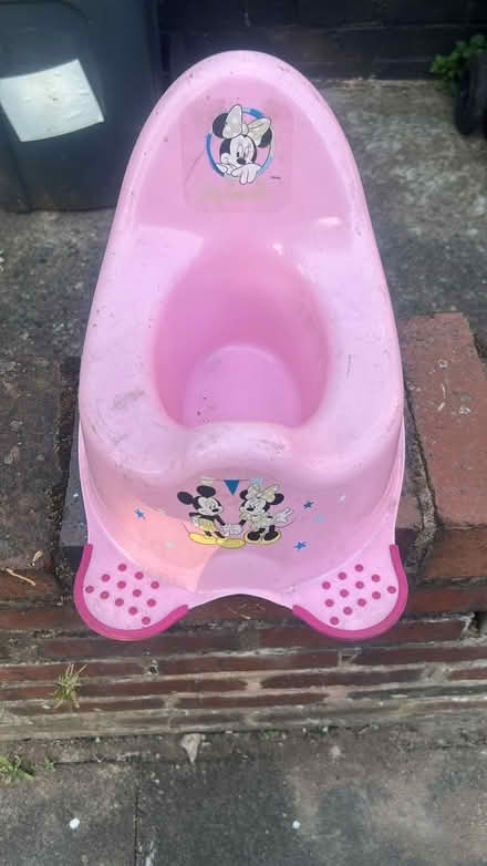 Photo of free Kids potty (Birmingham B9) #1