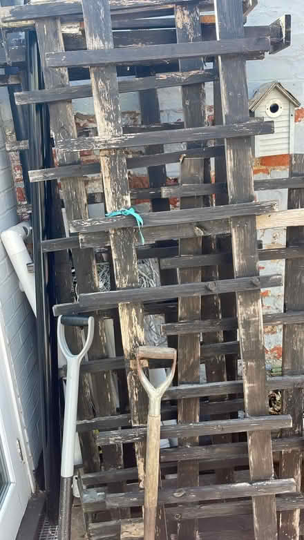 Photo of free Trellis/ fencing (Maldon CM9) #1