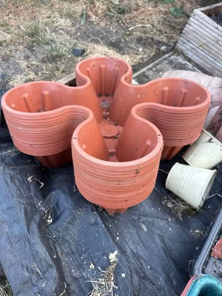 Photo of free Planting pots (CB4) #3