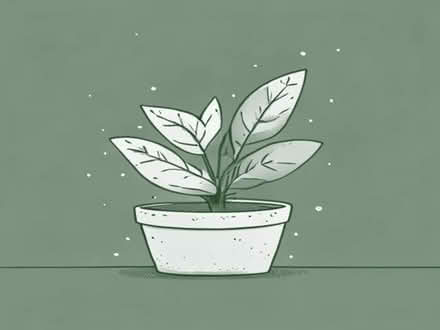 Photo of Indoor / Office plants (Wallands Park BN7) #1